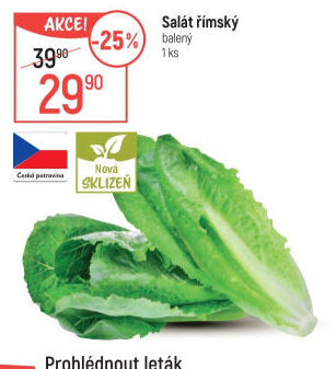 Salát římský