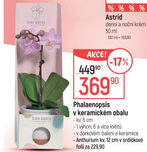 Orchidej