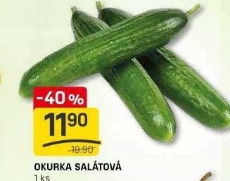 Okurka salátová - hadovka