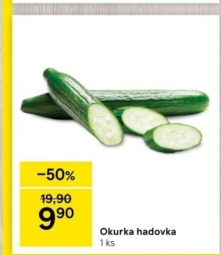 Okurka salátová - hadovka