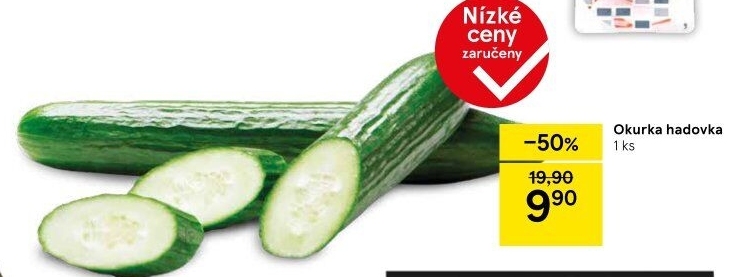 Okurka salátová - hadovka