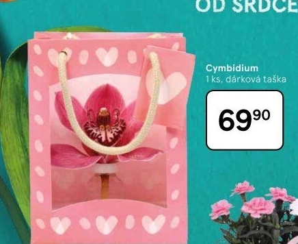 Orchidej