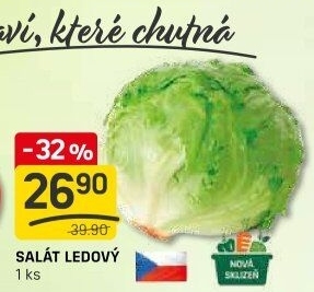 Salát ledový