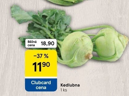 Kedlubna bílá
