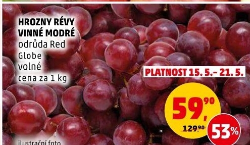 Hrozny modré