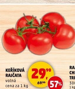 Rajčata keříková