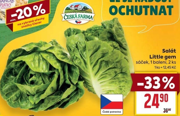 Salát little gem Česká farma