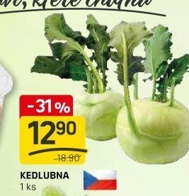 Kedlubna bílá