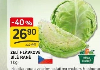 Zelí hlávkové bílé