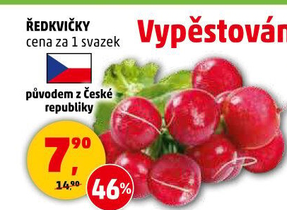 Ředkvičky svazek