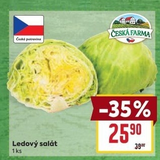 Salát ledový Česká farma