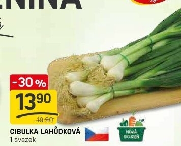 Jarní cibule svazek