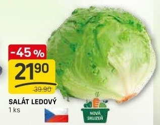 Salát ledový