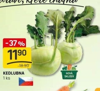 Kedlubna bílá
