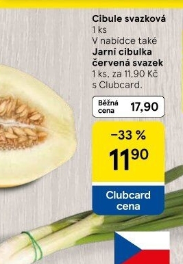 Jarní cibule svazek