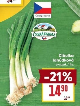 Jarní cibule svazek Česká farma