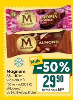 Nanuk Magnum Algida