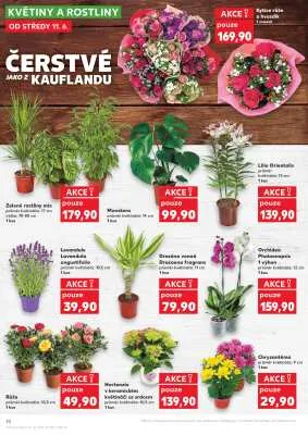 akční leták Kaufland 11.6.2025-17.6.2025