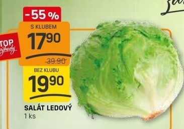 Salát ledový