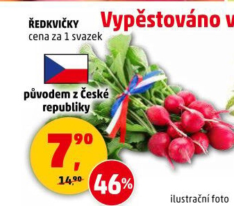 Ředkvičky svazek