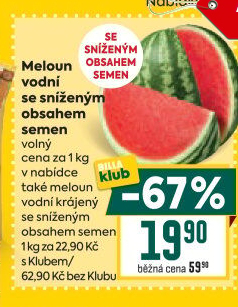 Meloun vodní