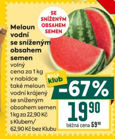 Meloun vodní