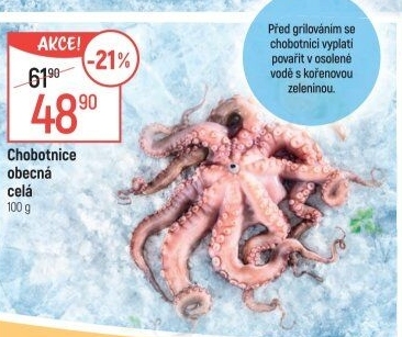 Chobotnice obecná