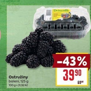 Ostružiny