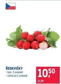 Ředkvičky svazek