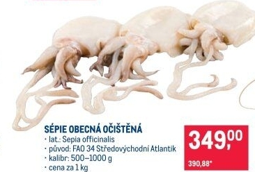 Sépie