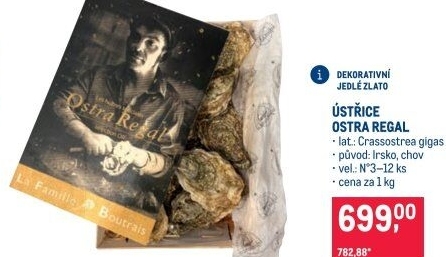 Ústřice Ostra Regal