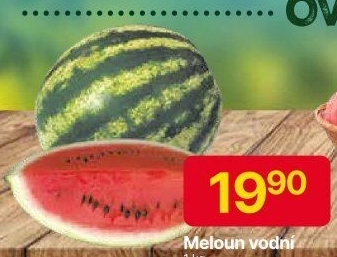 Meloun vodní