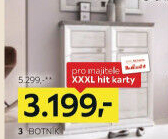 BOTNÍK
