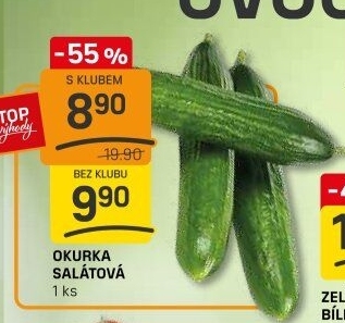 Okurka salátová - hadovka