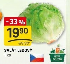 Salát ledový