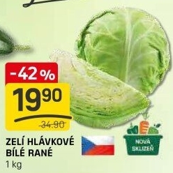Zelí hlávkové bílé