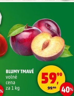 Blumy tmavé