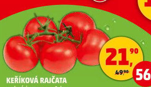 Rajčata keříková
