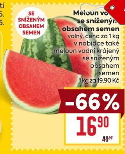 Meloun vodní