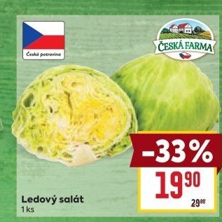 Salát ledový Česká farma