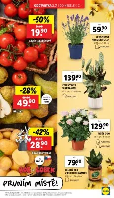 akční leták Lidl 3.7.2025-6.7.2025