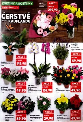 akční leták Kaufland 2.7.2025-8.7.2025