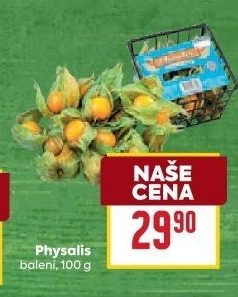 Physalis - Mochyně