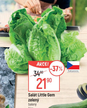 Salát little gem