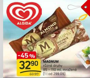 Nanuk Magnum Algida