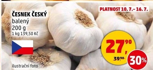 Česnek český