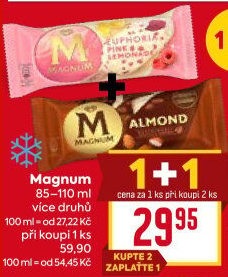 Nanuk Magnum Algida