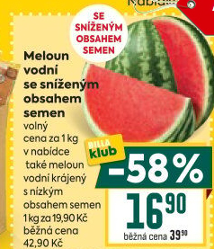Meloun vodní