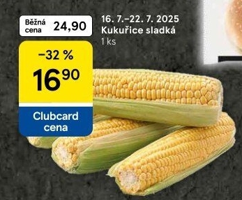 Kukuřice klas