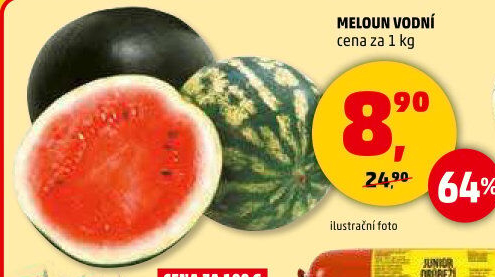 Meloun vodní